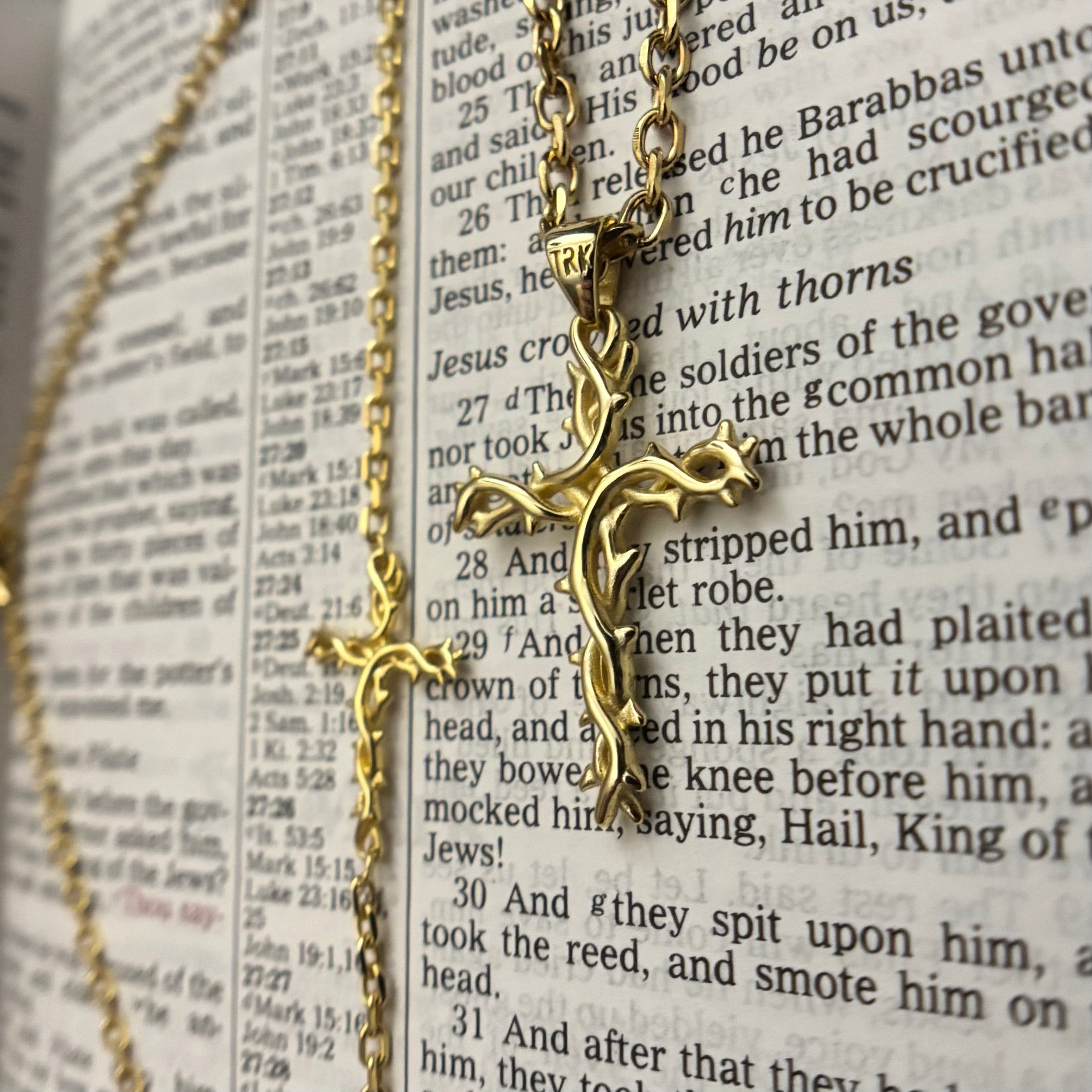 The Crown of Thorns Bundle (Gold)